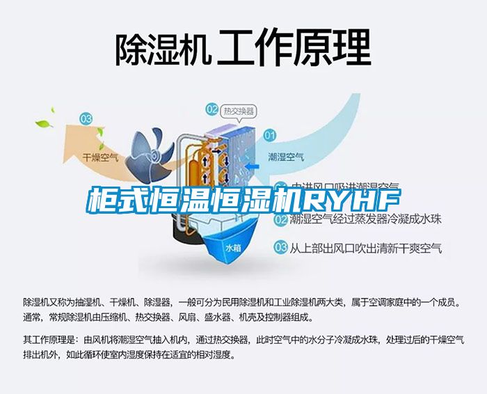 柜式恒溫恒濕機RYHF