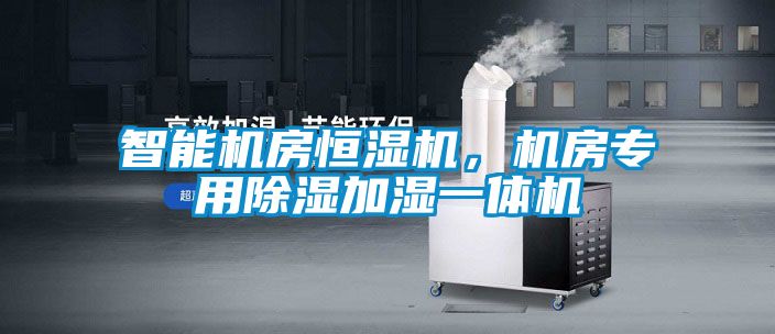 智能機房恒濕機，機房專用除濕加濕一體機