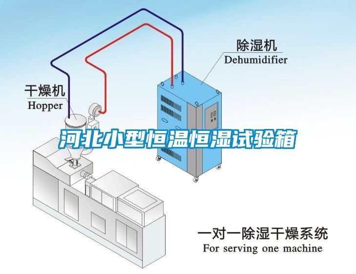 河北小型恒溫恒濕試驗箱