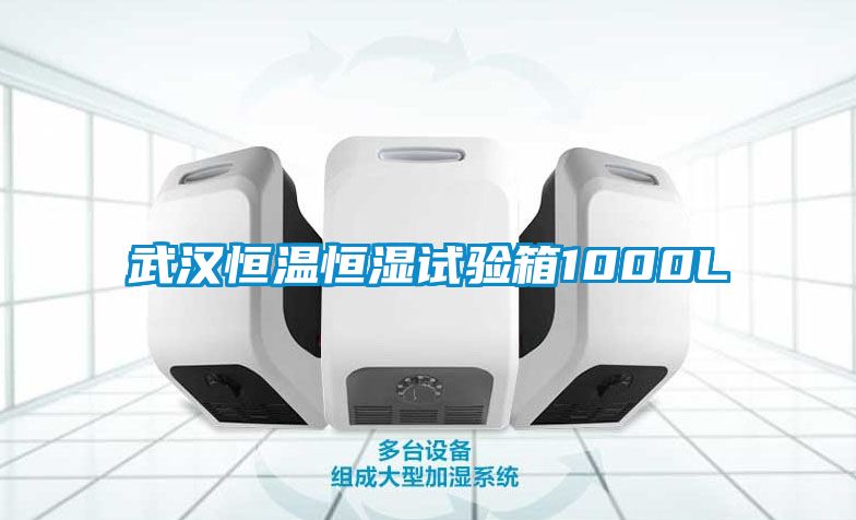 武漢恒溫恒濕試驗(yàn)箱1000L