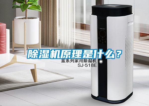 除濕機(jī)原理是什么？