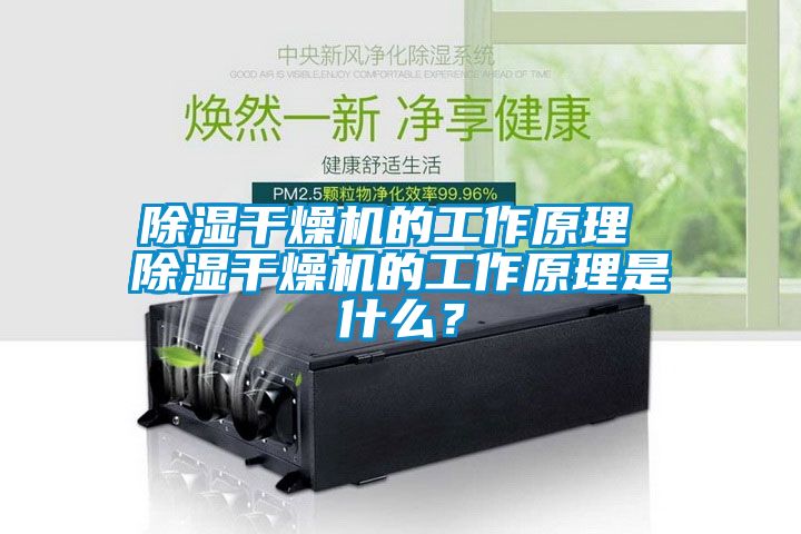 除濕干燥機的工作原理 除濕干燥機的工作原理是什么？