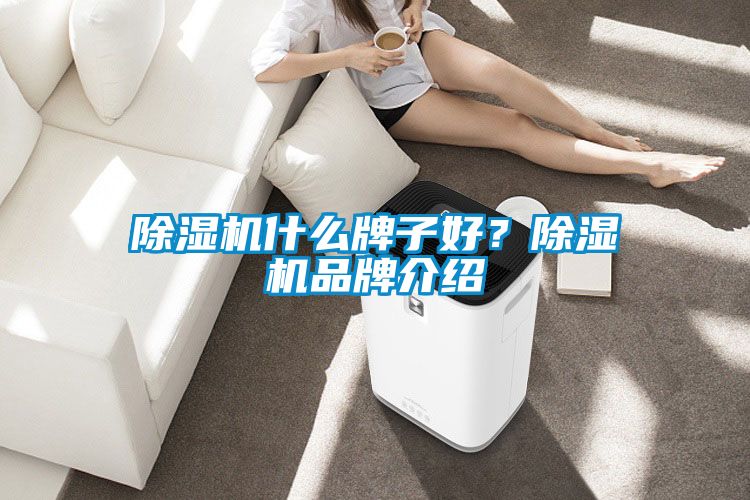 除濕機(jī)什么牌子好？除濕機(jī)品牌介紹