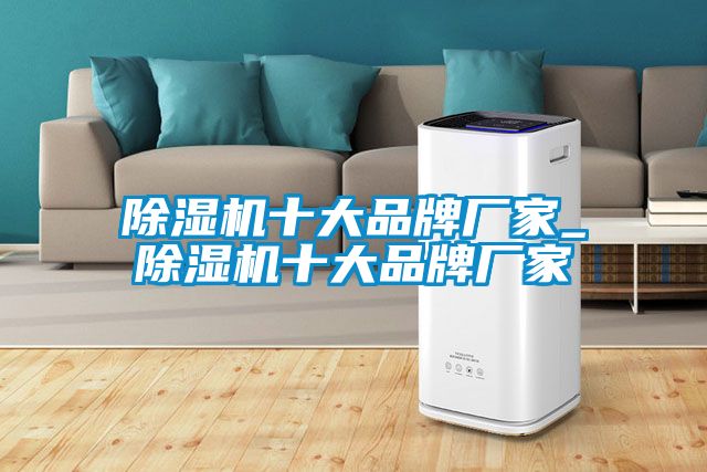 除濕機十大品牌廠家_除濕機十大品牌廠家