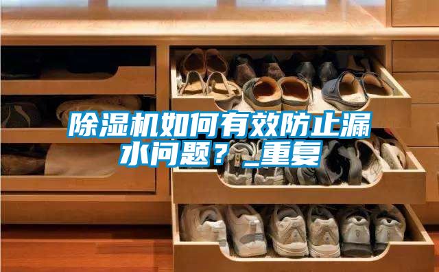 除濕機如何有效防止漏水問題？_重復