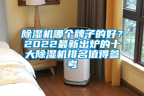 除濕機哪個牌子的好？2022最新出爐的十大除濕機排名值得參考