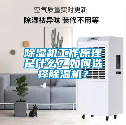 除濕機工作原理是什么？如何選擇除濕機？