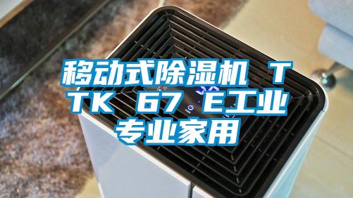 移動式除濕機 TTK 67 E工業專業家用