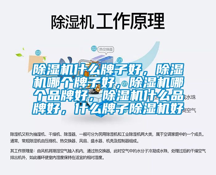 除濕機什么牌子好，除濕機哪個牌子好，除濕機哪個品牌好，除濕機什么品牌好，什么牌子除濕機好