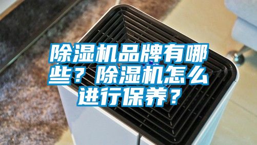 除濕機品牌有哪些？除濕機怎么進行保養？