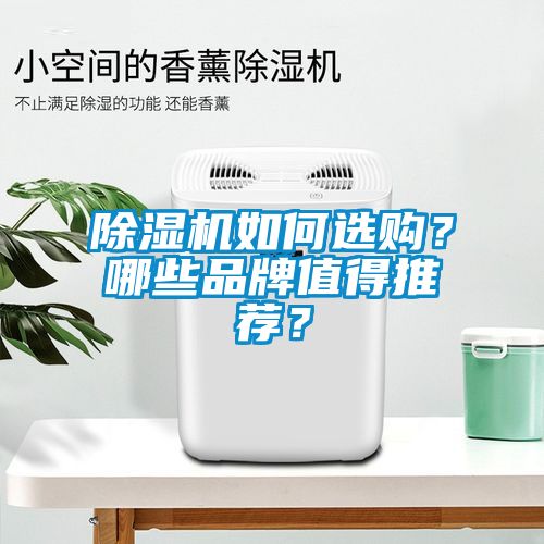 除濕機如何選購？哪些品牌值得推薦？