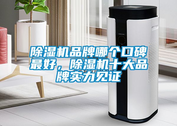 除濕機品牌哪個口碑最好，除濕機十大品牌實力見證