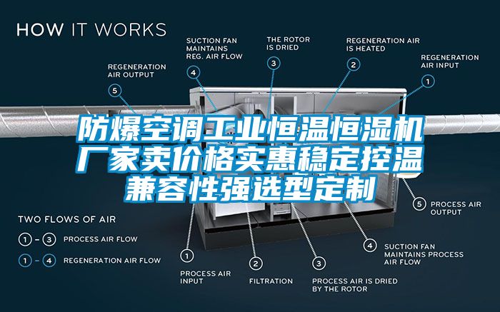 防爆空調(diào)工業(yè)恒溫恒濕機(jī)廠家賣價(jià)格實(shí)惠穩(wěn)定控溫兼容性強(qiáng)選型定制