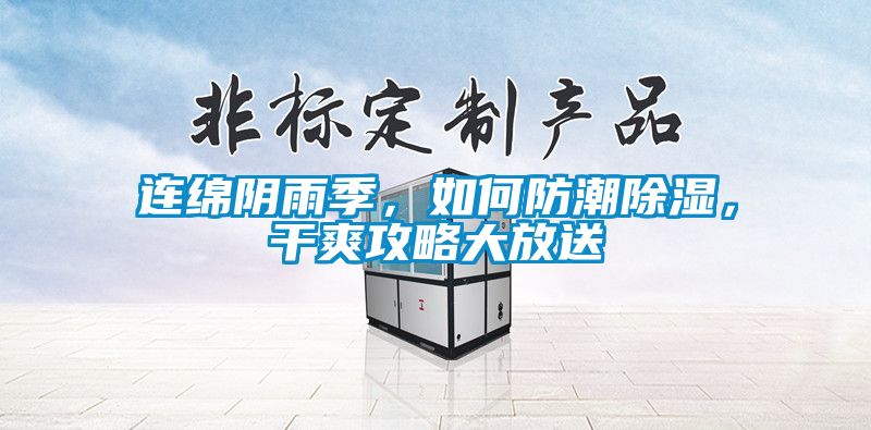 連綿陰雨季，如何防潮除濕，干爽攻略大放送