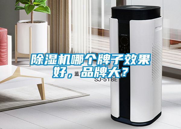 除濕機哪個牌子效果好，品牌大？