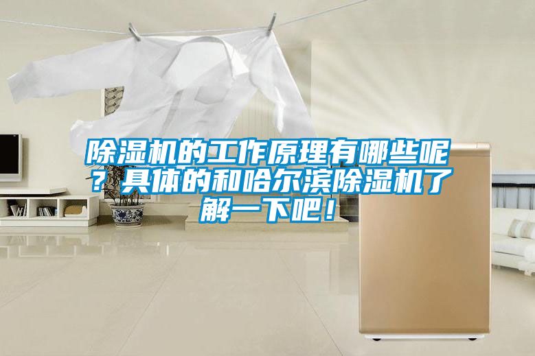 除濕機的工作原理有哪些呢？具體的和哈爾濱除濕機了解一下吧！