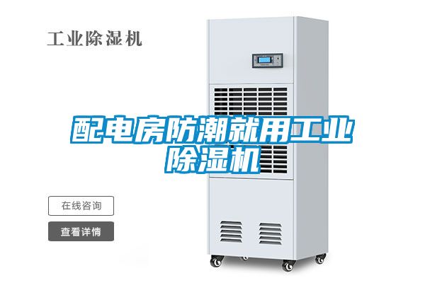 配電房防潮就用工業除濕機