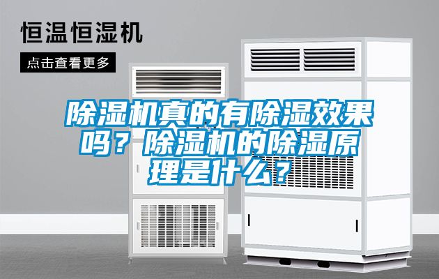 除濕機(jī)真的有除濕效果嗎？除濕機(jī)的除濕原理是什么？