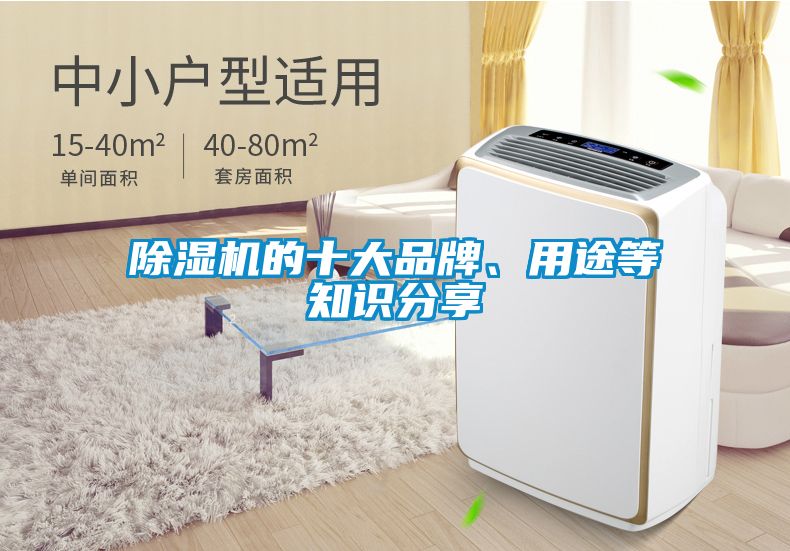 除濕機的十大品牌、用途等知識分享