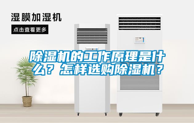 除濕機的工作原理是什么？怎樣選購除濕機？