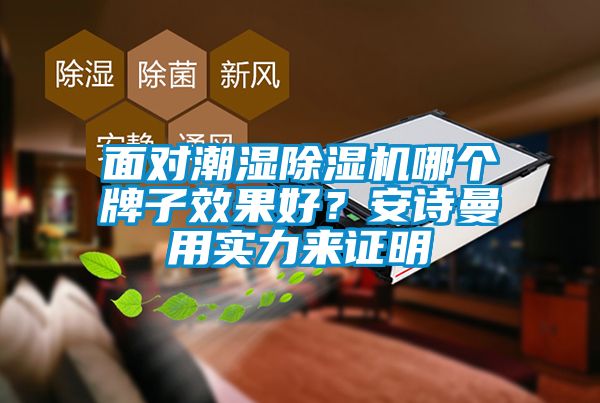 面對潮濕除濕機哪個牌子效果好？安詩曼用實力來證明