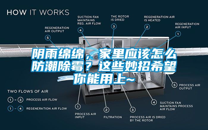 陰雨綿綿，家里應該怎么防潮除霉？這些妙招希望你能用上~