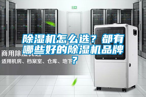 除濕機怎么選？都有哪些好的除濕機品牌？