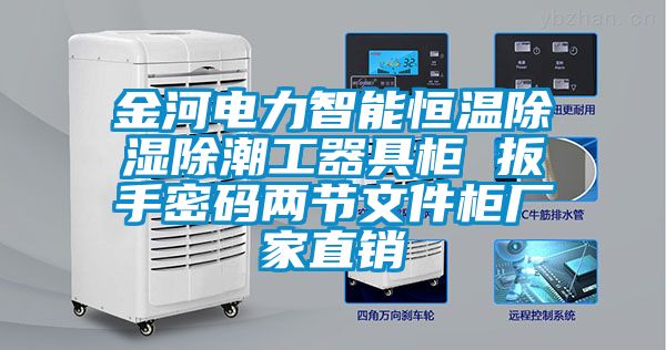 金河電力智能恒溫除濕除潮工器具柜 扳手密碼兩節文件柜廠家直銷