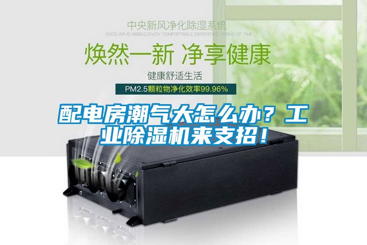 配電房潮氣大怎么辦？工業除濕機來支招！