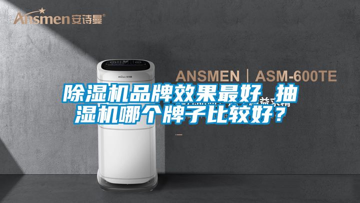 除濕機品牌效果最好 抽濕機哪個牌子比較好？