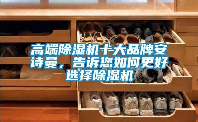 高端除濕機十大品牌安詩曼，告訴您如何更好選擇除濕機