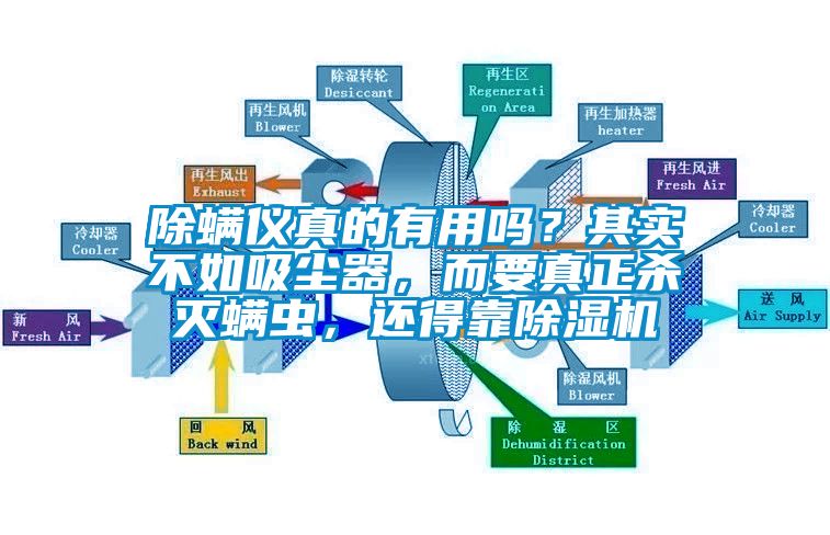 除螨儀真的有用嗎？其實不如吸塵器，而要真正殺滅螨蟲，還得靠除濕機